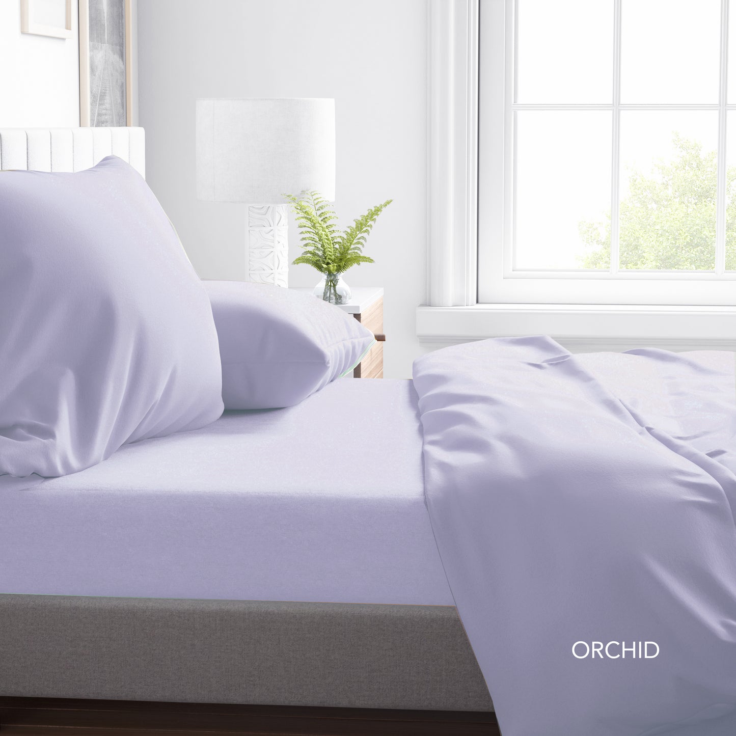 PLAIN DYE TC - CONTEMPO ATELIER FITTED SHEET 80% AUSTRIAN TENCEL™ 20% COTTON
